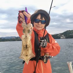 South Current 釣果