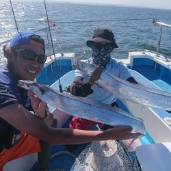 深川 吉野屋 釣果