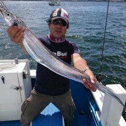 深川 吉野屋 釣果