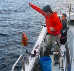 第二清洋丸 釣果