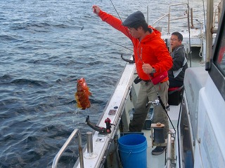 第二清洋丸 釣果