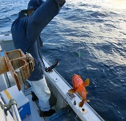 第二清洋丸 釣果