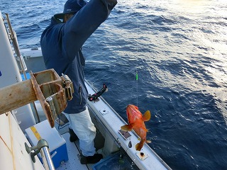 第二清洋丸 釣果