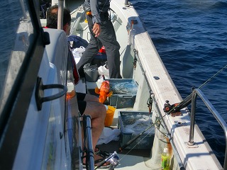 第二清洋丸 釣果