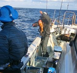 第二清洋丸 釣果