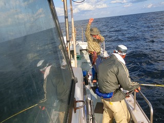 第二清洋丸 釣果