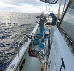 第二清洋丸 釣果