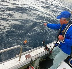 第二清洋丸 釣果