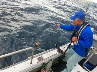 第二清洋丸 釣果