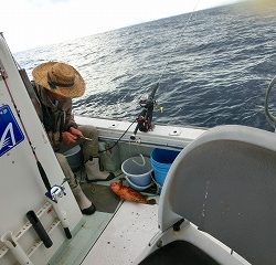 第二清洋丸 釣果