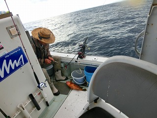 第二清洋丸 釣果