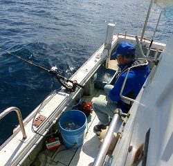 第二清洋丸 釣果