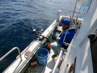 第二清洋丸 釣果