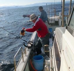 第二清洋丸 釣果