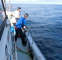 第二清洋丸 釣果