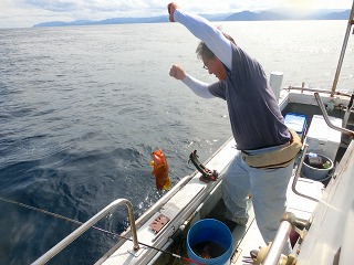 第二清洋丸 釣果