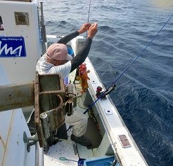 第二清洋丸 釣果