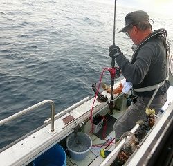 第二清洋丸 釣果