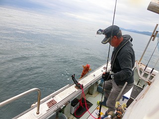 第二清洋丸 釣果