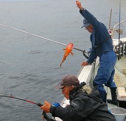 第二清洋丸 釣果