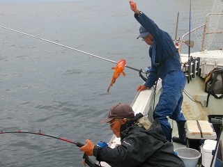 第二清洋丸 釣果