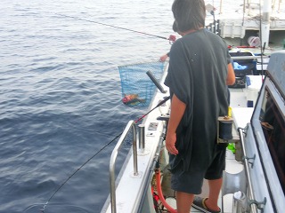 第二清洋丸 釣果