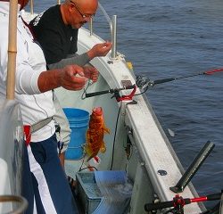 第二清洋丸 釣果