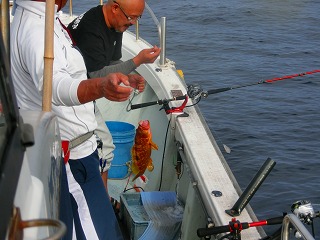 第二清洋丸 釣果