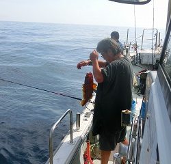 第二清洋丸 釣果