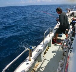 第二清洋丸 釣果