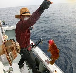 第二清洋丸 釣果