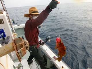 第二清洋丸 釣果