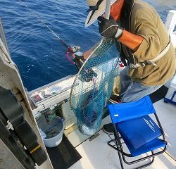 第二清洋丸 釣果