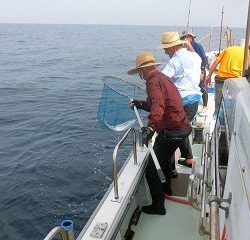 第二清洋丸 釣果