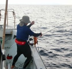 第二清洋丸 釣果