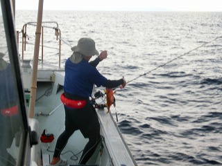 第二清洋丸 釣果