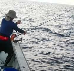 第二清洋丸 釣果