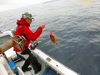 第二清洋丸 釣果