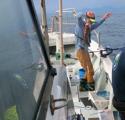 第二清洋丸 釣果