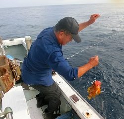 第二清洋丸 釣果