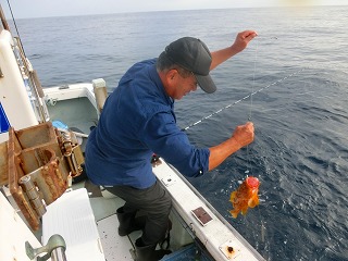 第二清洋丸 釣果