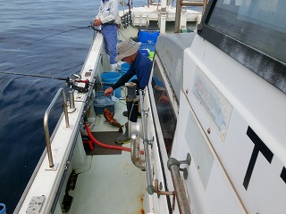 第二清洋丸 釣果