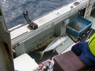 第二清洋丸 釣果