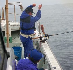 第二清洋丸 釣果