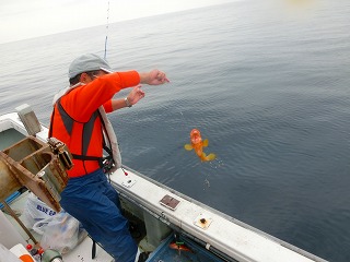 第二清洋丸 釣果