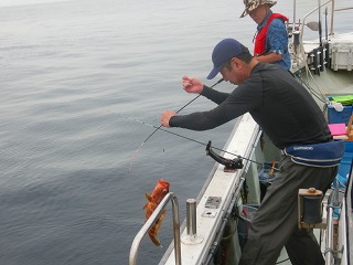 第二清洋丸 釣果