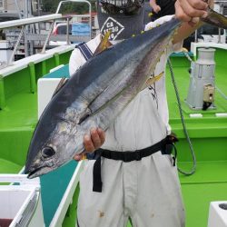 ゆたか丸 釣果