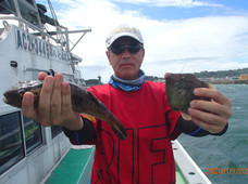七福丸 釣果