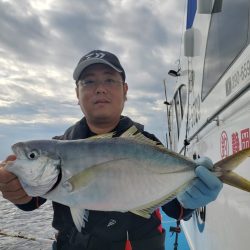 舵丸 釣果