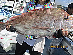 遊漁船 未紗奈 釣果